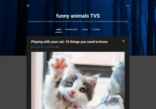 funny amimals tvs