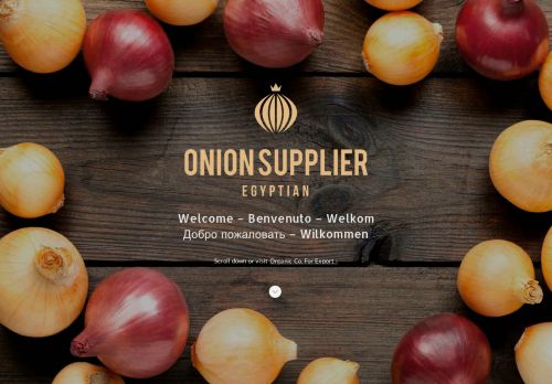 مورد بصل احمر