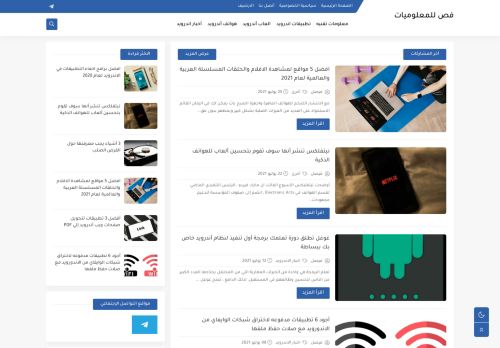 فص للمعلوميات