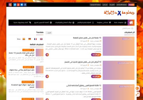 معلومة فى دقيقة information per minute