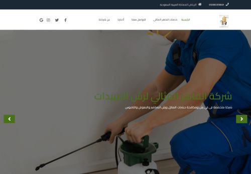 الماهر المثالي