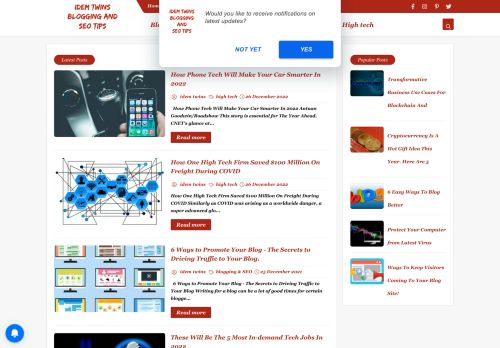 idem twins: blogging and seo tips