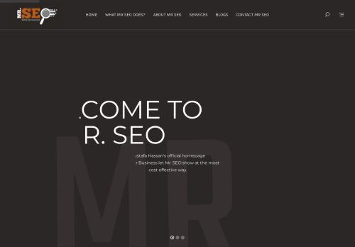 Mr SEO