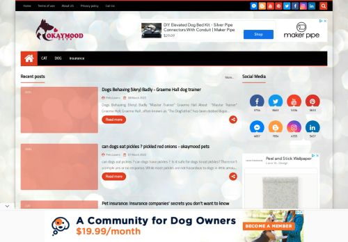 okaymood pets