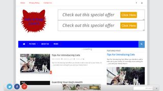 cats and dogs lovers