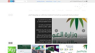 صحيفة انفراد