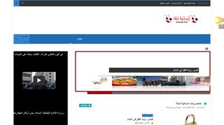 إنسانية نملة