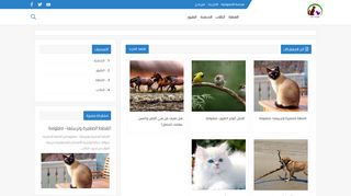 حيوانات أليفة